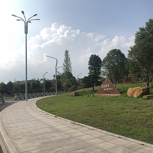 國(guó)內(nèi)案例